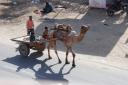 indien_bilder_willi-182.JPG