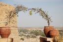 indien_bilder_willi-233.JPG
